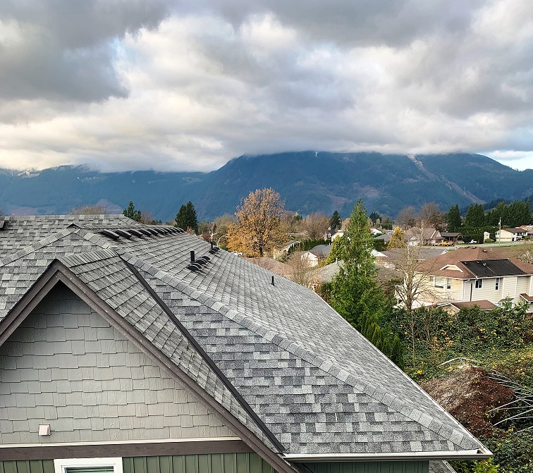 Strata roof repair